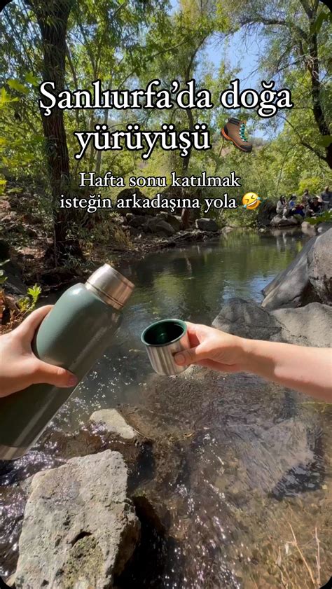 Şanlıurfa Olgun Eskortlarla Yapılan Aktiviteler