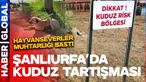 Şanlıurfa’da Esmer Eskortların Artan Talepleri